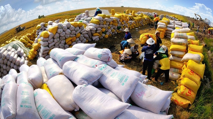 Xuất khẩu gạo tăng mạnh dù phải đương đầu với nhiều khó khăn